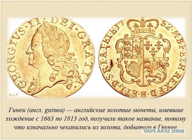 20 фактов обо всем