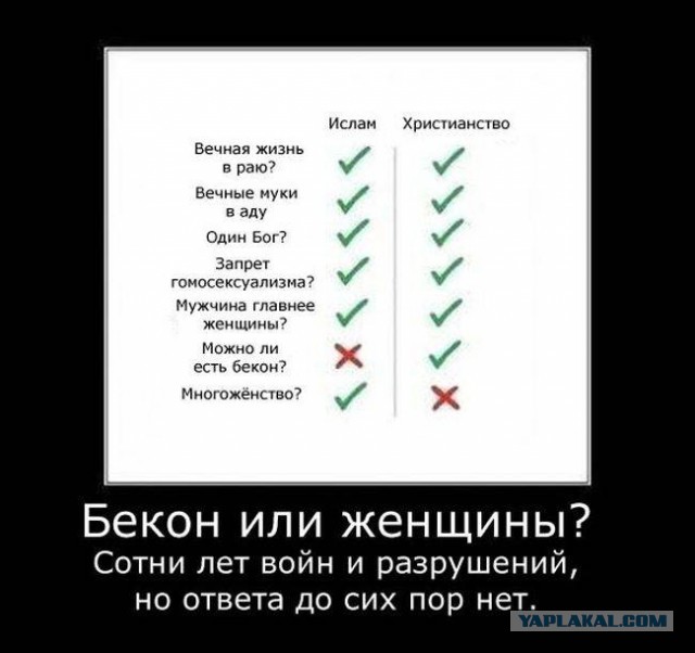 Прикольные картинки из сети