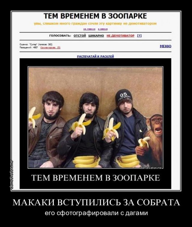 Что там происходит?!