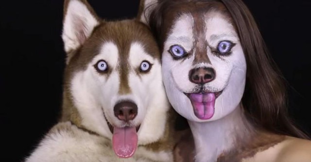 Как кошка с собакой?