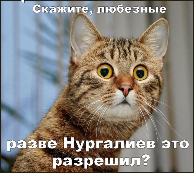 Злые шутки или минутка сарказма на ЯП-е, 16+