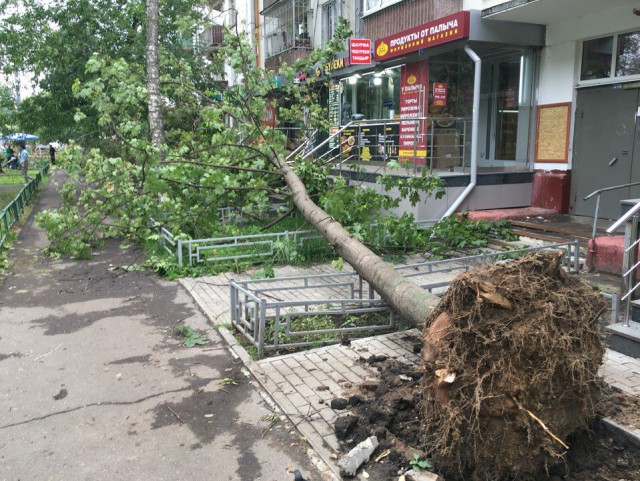 Сильная гроза в Москве и ее последствия