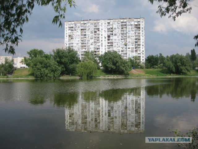 Соцсети - и смех и грех