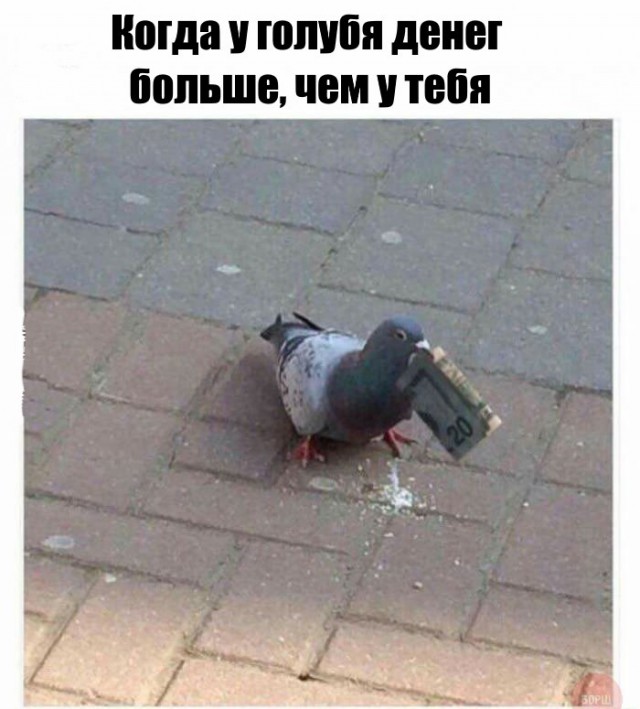 Подборка фот из этих Ваших интернетов