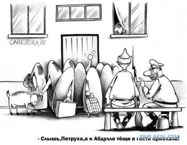 Тёща приехала, стала жизни учить!