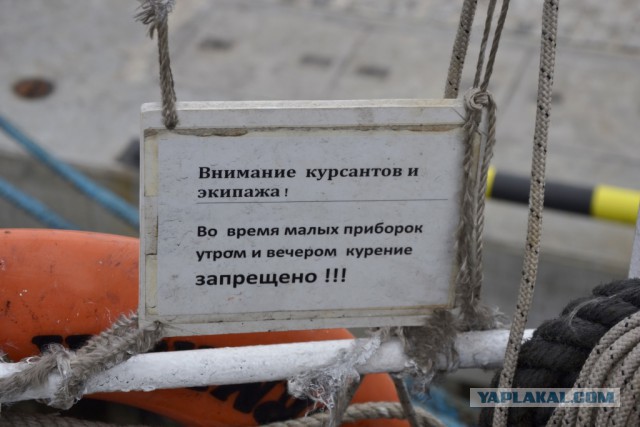 Как я побывал на борту барка «Седов»