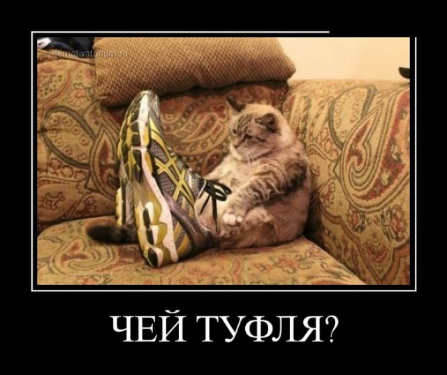 29 картинок