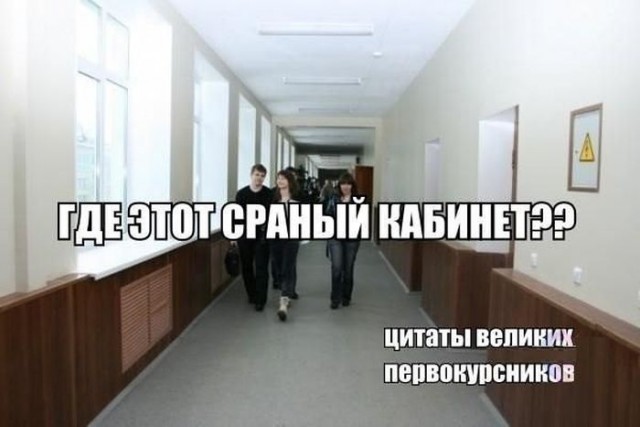 100 картинок для поднятия настроения!