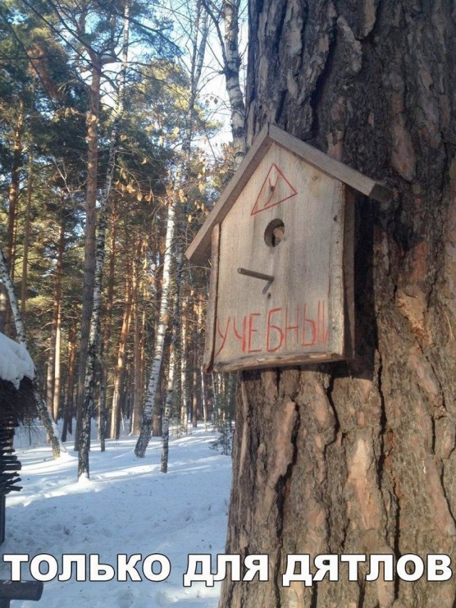 Странный юмор