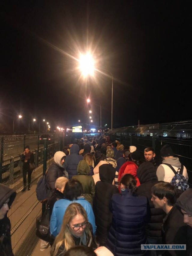 Новогодний завтрак гурмана