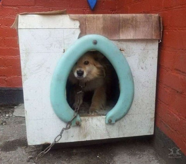 Зарядись позитивом в среду!