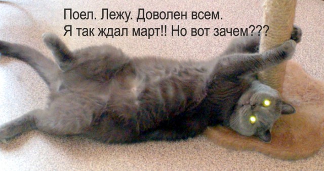 Немного веселых картинок из этих наших интернетов