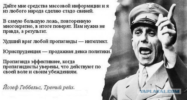 Хвост вильнул собакой - Новичок это подстава?