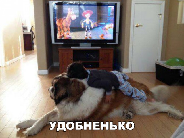 Нестандартный юмор