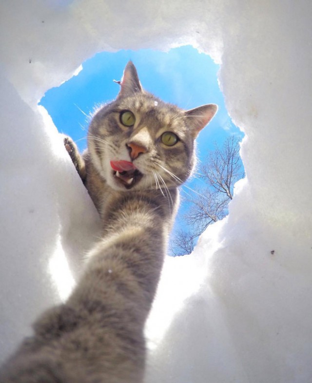Немного милоты