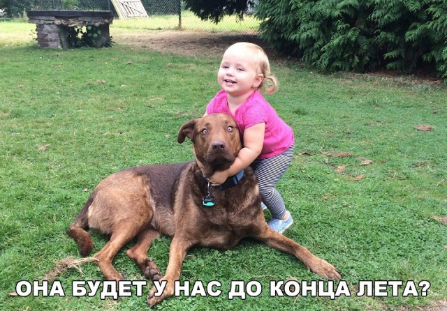 Прикольные картинки абавсём