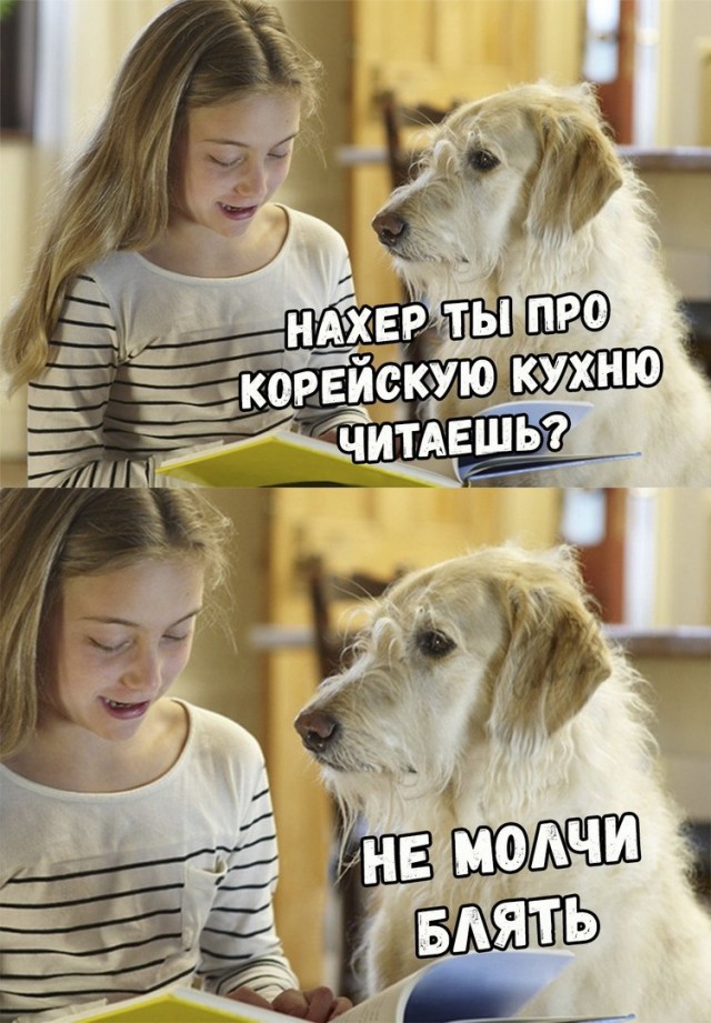 Лента прикольных картинок