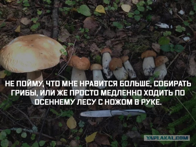 Затерянный мир! Вот что нашли ученые подо льдами Антарктиды!