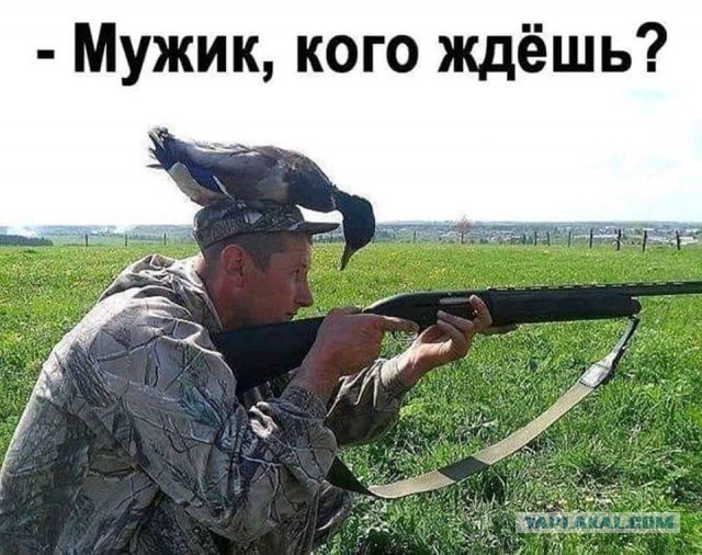 Чернушка-чернучшечка-чернушенция
