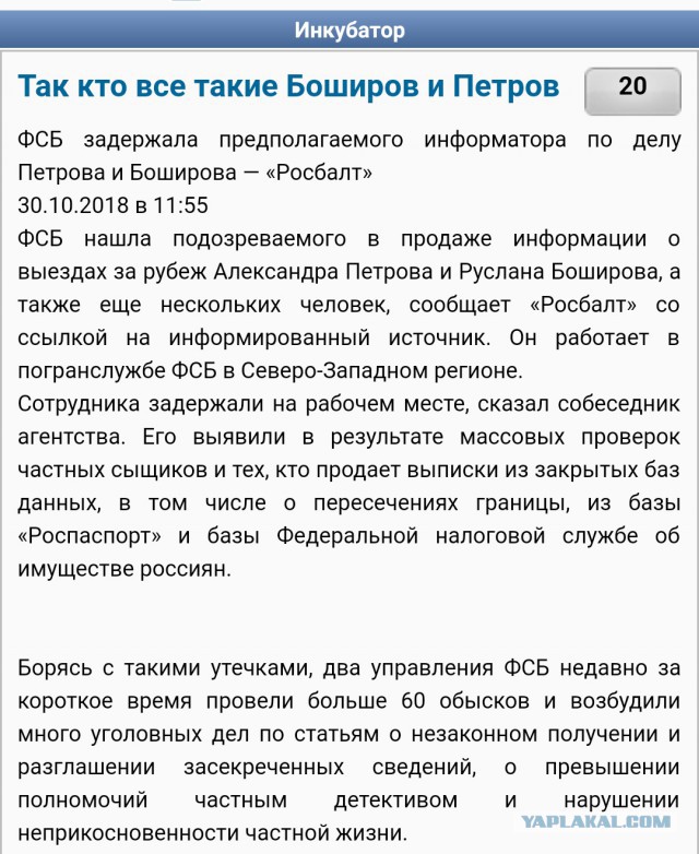 Так кто все такие Боширов и Петров