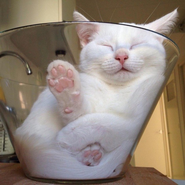 Немного милоты