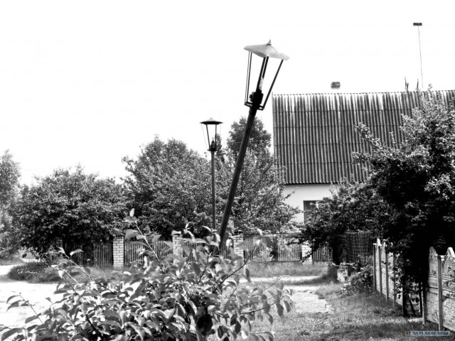 любительская фотография
