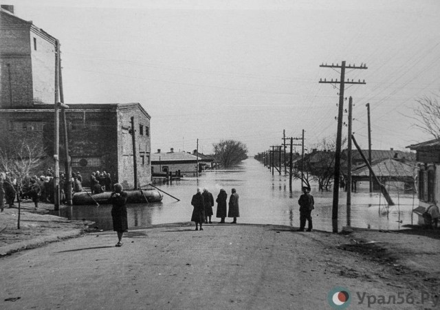 Обыденная жизнь советских людей в фотографиях Михаила Дашевского