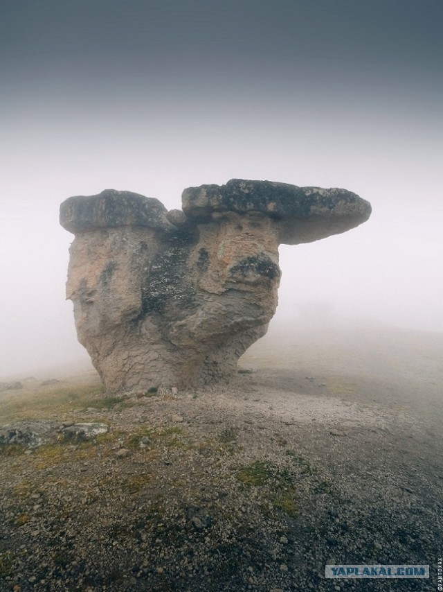 Отпуск в Ессентуках и Архызе, июль 2019