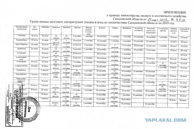 Собиравшая грибы в США эстонка получила повестку в суд, полицейские пообещали посадить ее добычу обратно