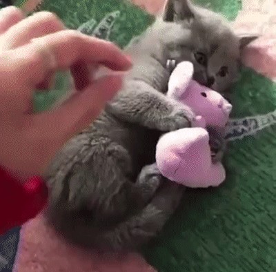 - Надо же понимать такие вещи! (с)Артур Юсупович, "Игла"