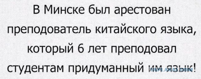 Мошенник поставил в выборгском лесу пограничные лжестолбы и за деньги якобы перевёл в Финляндию четверых уроженцев Азии