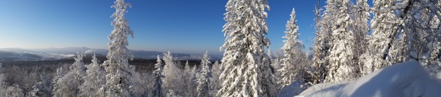 Немного зимних фото