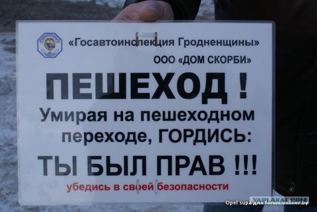 Мать с кошачьими рефлексами выдернула своего ребёнка из-под колёс летящей «Audi». Юнец может праздновать второй день рождения