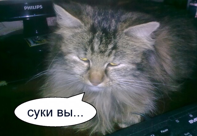 Еще 15 причин никогда не жениться