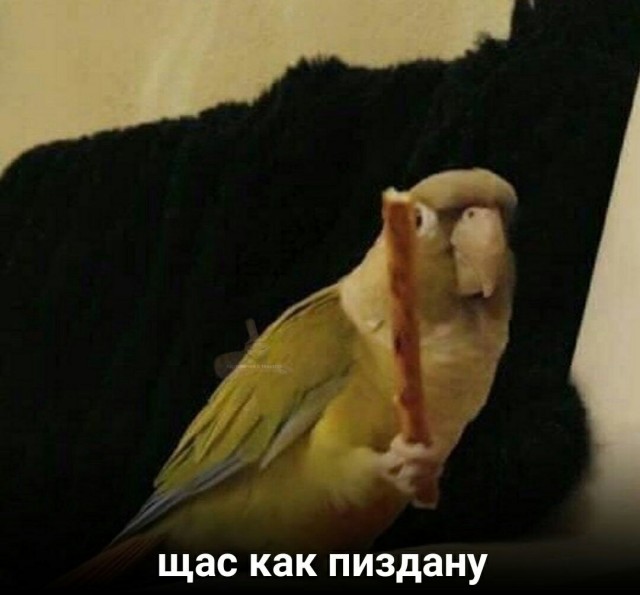 Зверушки