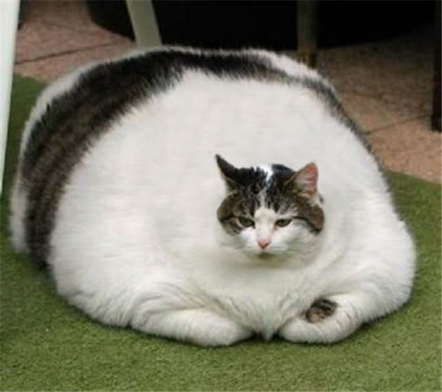 Не лишний лишний вес