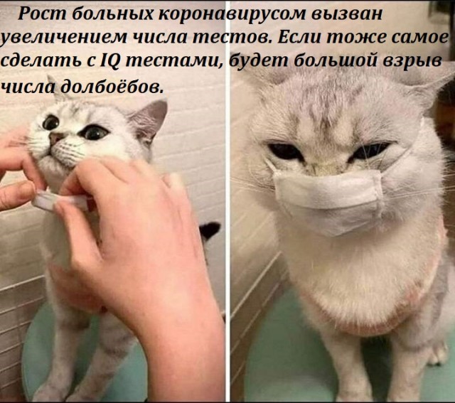 Бредзона 28.09.20