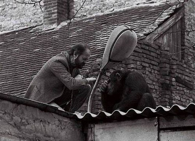 25 увлекательных фотографий с крутыми штуками, историческими фактами и прочими удивительностями