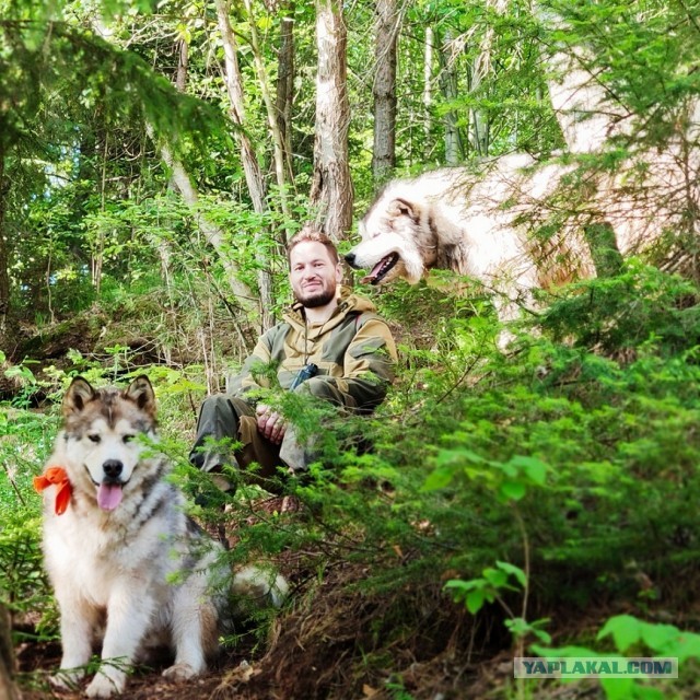 Кто хороший мальчик? Кто БОЛЬШОЙ хороший мальчик?