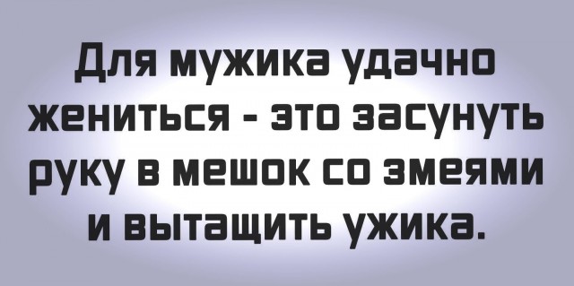 Фотки и картинки: юморные и красивые, забавные и милые 17.11.20