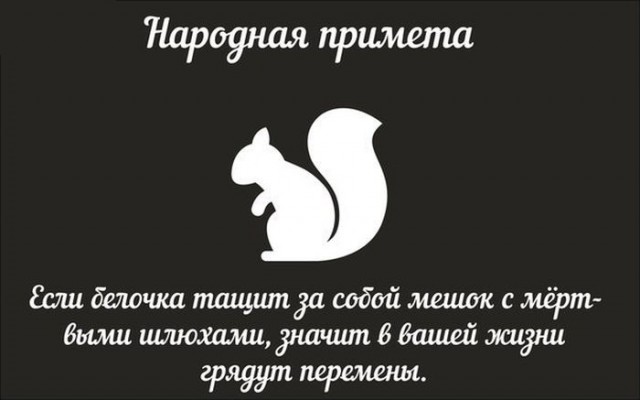 Дурацкие картинки