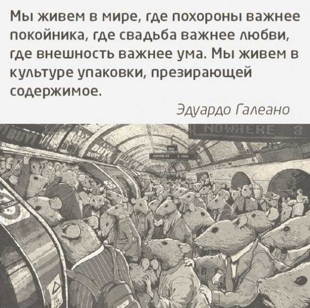 Подборка картинок 03.02.2021