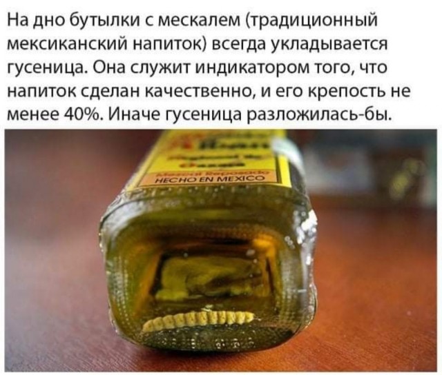 Бредзона 10.02.21