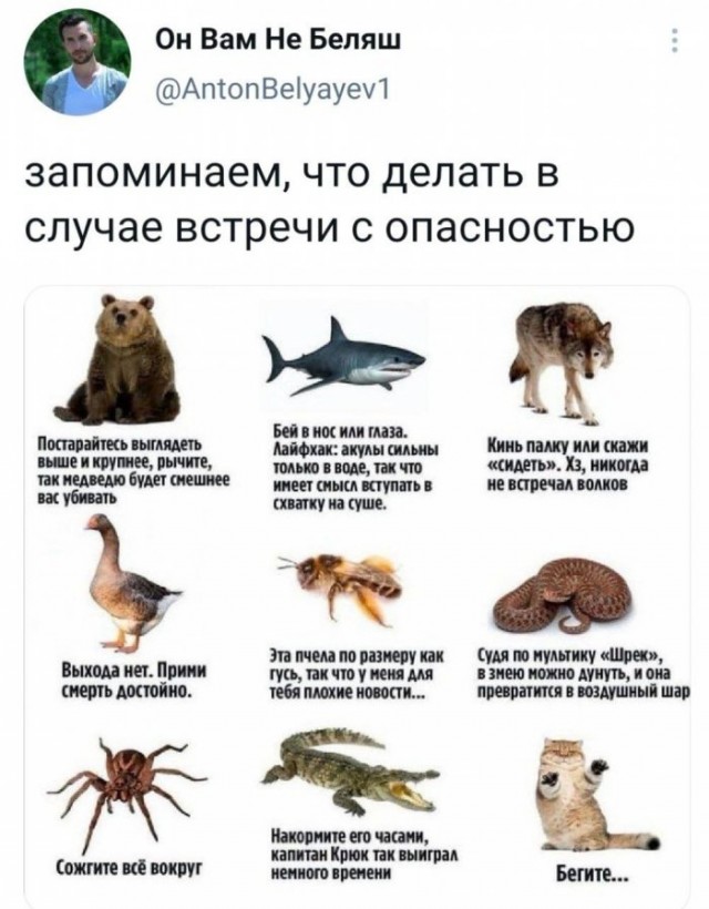 Картинки и мемы для настроения