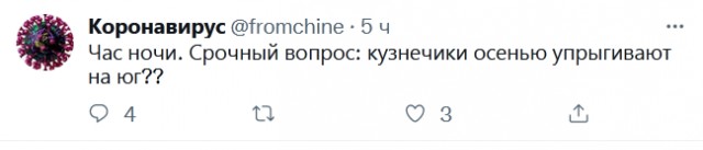 Весёлый полтишок 07.11