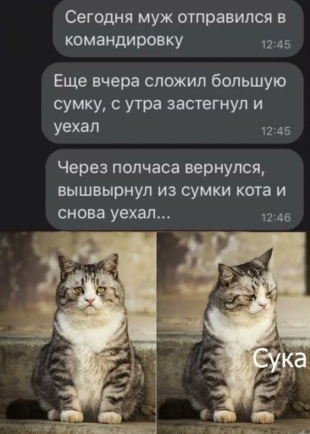 Картинки на выходные 12.12.21