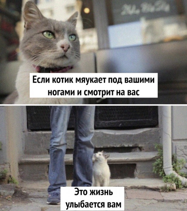 Картинки и мемы для настроения 21.12.21