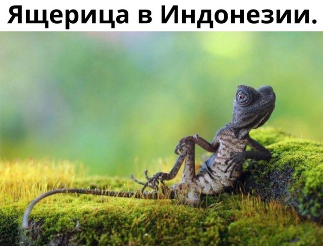 Так себе картинки 03.02.22