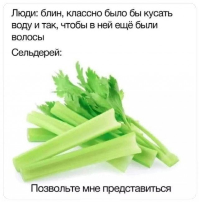 Так себе картинки 11.02.22