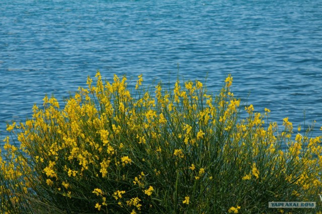 Геленджик 2011